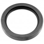 EKSANTRIK KEÇESI...