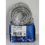 (BTH-1229) ARKA TEKE...